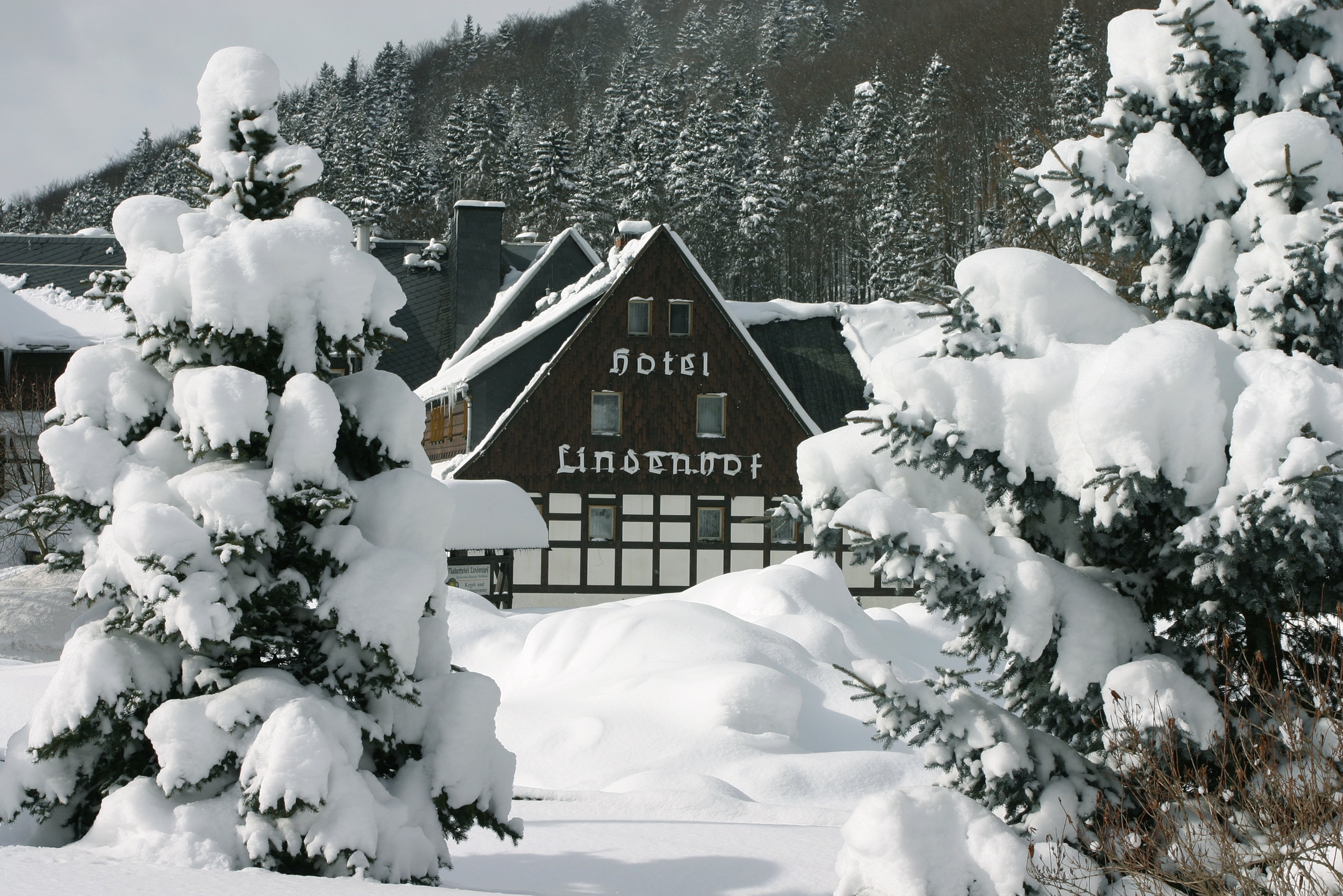 Winter Wellness Kuscheltage Holzhau Hotel Lindenhof